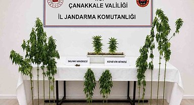 Çanakkale'de 3 ilçede uyuşturucu operasyonu