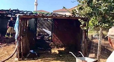 Çanakkale'de ahırda çıkan yangın söndürüldü