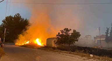 Çardak'ta yerleşime yakın boş arazide çıkan yangın korkuya neden oldu