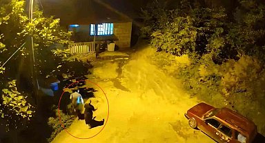 Cesaretleri ayının sesini duyana kadardı
