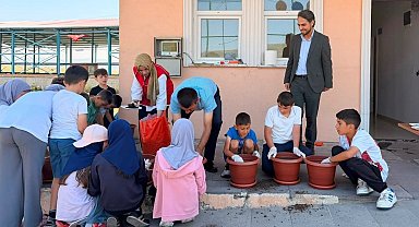 Çıldır'da "Yeşeren eller" projesi hayata geçirildi
