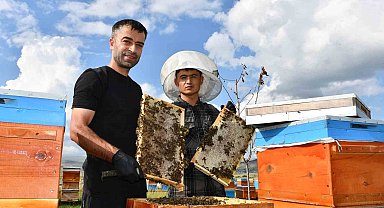 Coğrafi işaretli balın hasadı başladı: Kilosu bin 900 TL
