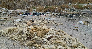 Çöplüğe dönen kum ocağında çevre felaketi yaşanıyor