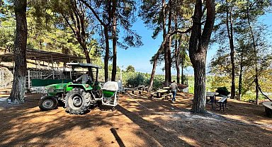Dedebağ Keşkek Hayrı için hazırlıklar sürüyor