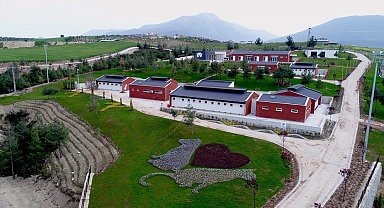Denizli Büyükşehir Belediyesinden barınak iddialarına suç duyurusu