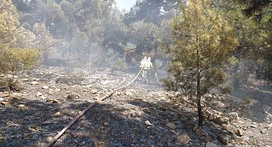 Denizli'de orman yangını hızlı müdahaleyle kontrol altına alındı