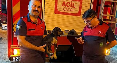 Depoya düşen köpek, itfaiye ekiplerince kurtarıldı