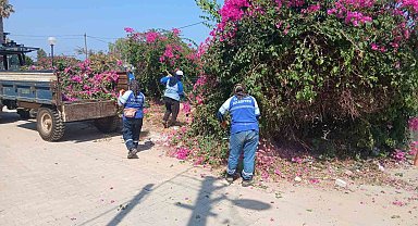 Didim Belediyesi kent genelinde ot biçme ve budama çalışmalarını sürdürüyor