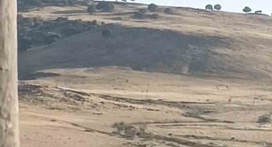 Diyarbakır'da ayağı yuvasındaki bez parçasına takılan leylek kurtarıldı