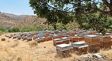 Diyarbakır'da bal sağımı başladı