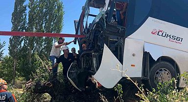 Diyarbakır'da yolcu otobüsü ağaca çıktı: 2 yaralı