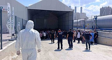 Domates serasında zehirlenme: 10 çalışan hastaneye kaldırıldı