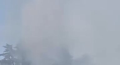 Düzce'de orman yangını kısa sürede söndürüldü