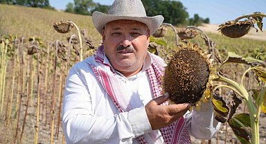 Edirne'de ayçiçeği üreticisinin yüzü bu yıl verimle güldü