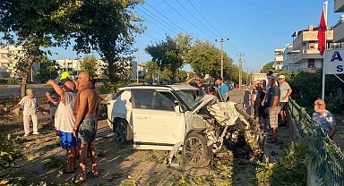 Edremit'te otomobil ağaca çarptı