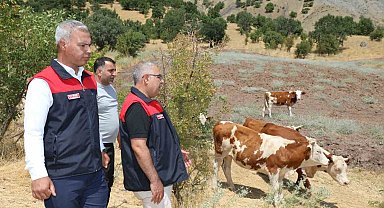 Elazığ' Kırsalda Bereket, Hayvancılığa Destek Projesi sürüyor
