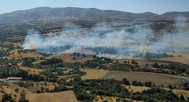 Elazığ'da anız ve bahçe yangını