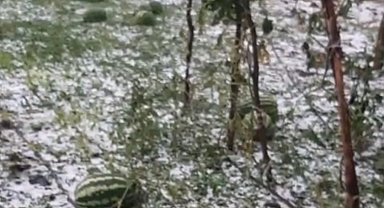 Elazığ'da fırtına ve dolu, tarım arazilerine zarar verdi