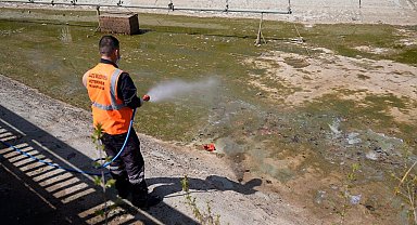 Elazığ'da İlaçlama çalışmaları sürüyor