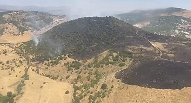 Elazığ'daki orman yangını söndürüldü