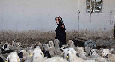 Elazığlı kadın girişimci devlet desteğiyle çiftlik kurdu
