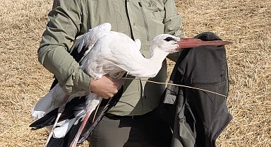 Elektrik akımına kapılan eşinin başından 5 gün ayrılmadı