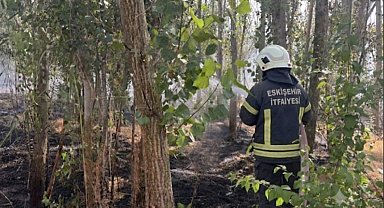Emirdağ'da anız ve ağaçlık alanda yangın
