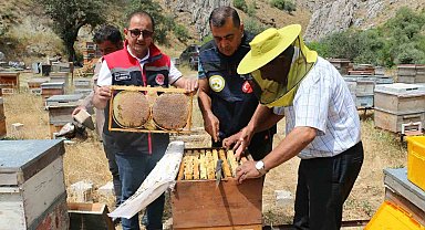 Erzincan'da bal hasadı başladı: Bin 500 ton rekolte bekleniyor
