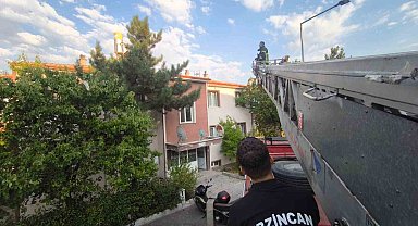 Erzincan'da çatıdaki kedi itfaiye ekiplerince kurtarıldı