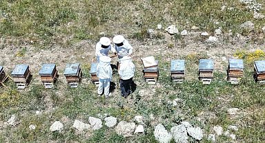 Erzincan'da kovanlar bal doldu, arıcılar hasadı bekliyor