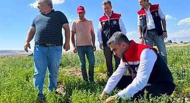 Erzurum'da tarımsal destekler meyvesini veriyor