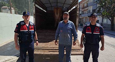 Eskişehir'de çalınan büyükbaş hayvanlardan biri Bilecik'te bulundu