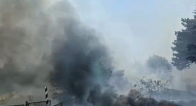 Eskişehir'de otluk alanda yangın