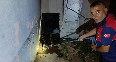 Evin deposuna giren yılan ekipleri harekete geçirdi