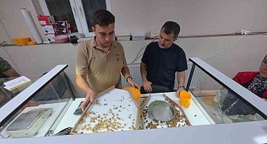 Fındık alımı başladı, araçlar kapı önünde kuyruk oldu