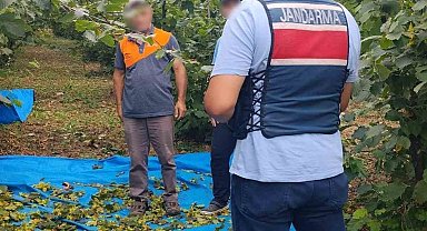 Fındık tarlalarında jandarma nöbeti