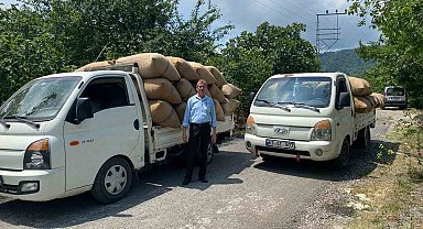 Fındık tüccarından üreticiye kritik uyarı: "Dalından toplamayın, yere dökülmesini bekleyin"