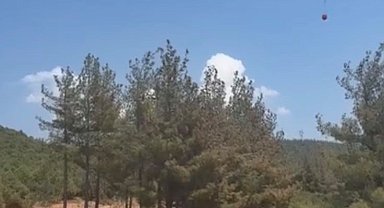 Gaziantep'te orman yangını: Havadan ve karadan müdahaleyle söndürüldü