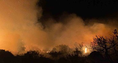 Gazipaşa'da makilik alanda yangın