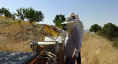 Gercüş'te bal hasadı heyecanı: Üreticinin yüzü gülüyor