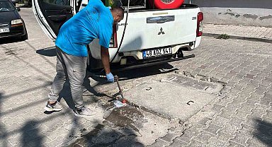 Germencik'te haşere ve zararlılara karşı etkin mücadele
