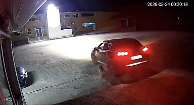 Giresun'da köpeği ezen adam vicdanları yaraladı