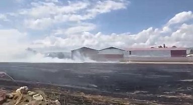Hasat edilmiş buğday tarlasında çıkan yangın yerleşim yerlerine sıçramadan söndürüldü