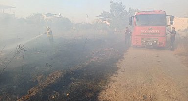 Hassa'da zeytinlik yangını yaşandı
