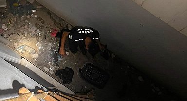Hatay'da mahsur kalan hayvanlar kurtarıldı