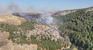 Hatay'da orman yangını çıktı