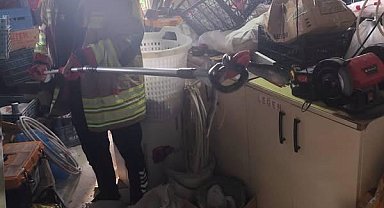 Hatay'da yerleşim yerlerine giren yılanlar yakalandı