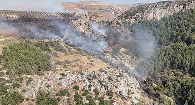 Hatay'daki orman yangını kontrol altına alındı