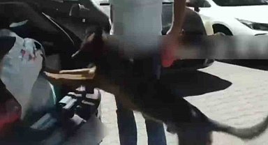 İstanbul'dan uyuşturucu sevkiyatı Sakarya'da durduruldu: 4 tutuklama