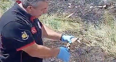 İtfaiye ekipleri yangından kurtardıkları kaplumbağayı suyla serinletti